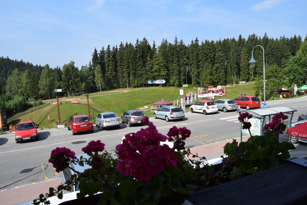 Verde Rosa Harrachov Szoba fotó