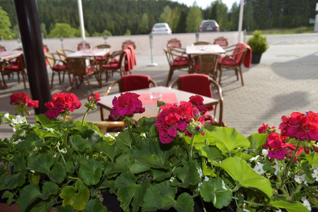 Verde Rosa Harrachov Kültér fotó